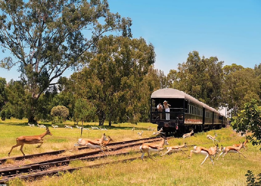 Voyage en train de luxe pour c&eacute;l&eacute;brer anniversaire de mariage