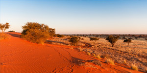 <b>African Explorer - Windhoek - Cap - 16 au 29 f&eacute;vrier</b>